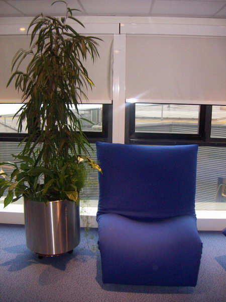 A post&eacute; une image