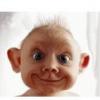 photo-thumb-709.jpg?_r=0