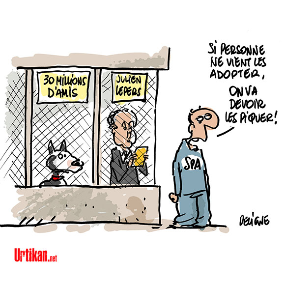 160109-julien-lepers-30-millions-d-amis-