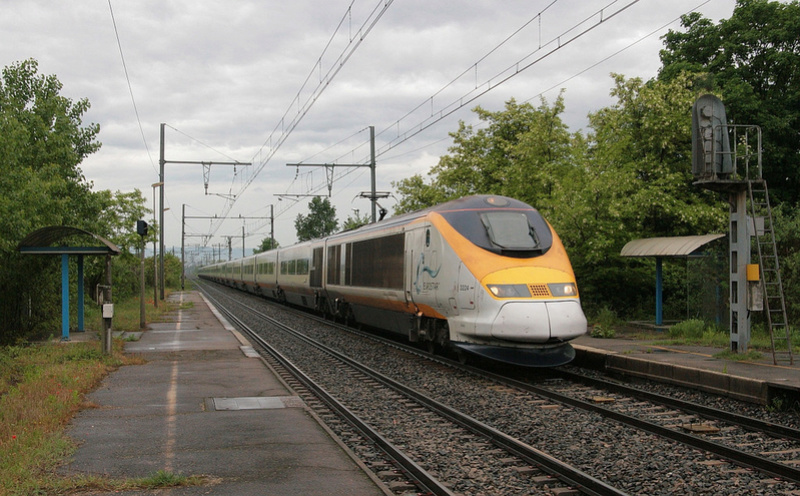 17297710.jpg