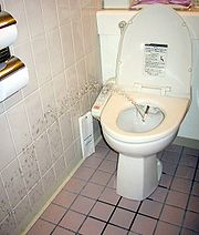 180px-JapaneseToiletBidet.jpg