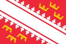 225px-Flag_of_Alsace.svg.png