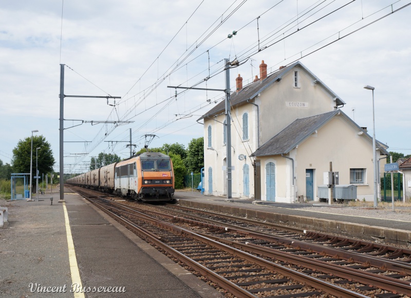 257934DSC00342Copie.jpg
