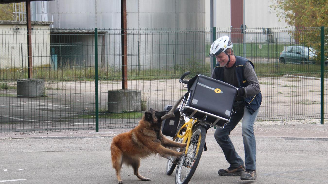 Résultat de recherche d'images pour "facteur mordu par un chien"