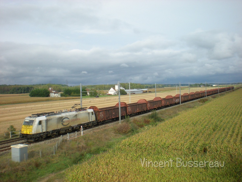 407132DSCN8593.jpg