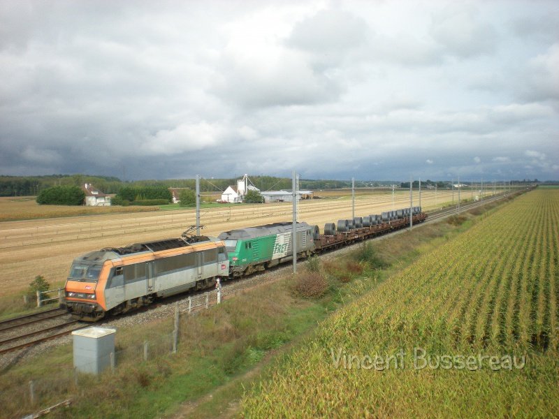 563115DSCN8583.jpg