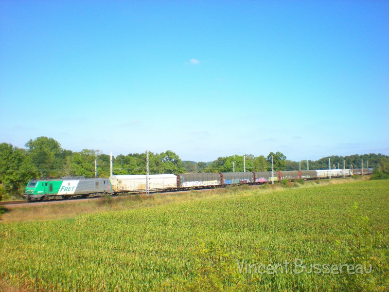 648805DSCN8575.jpg