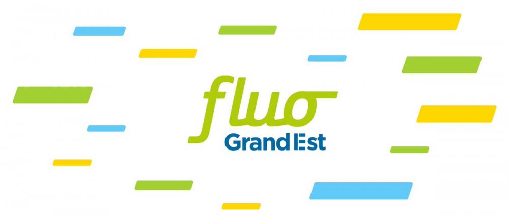 Résultat de recherche d'images pour "fluo grand est logo"