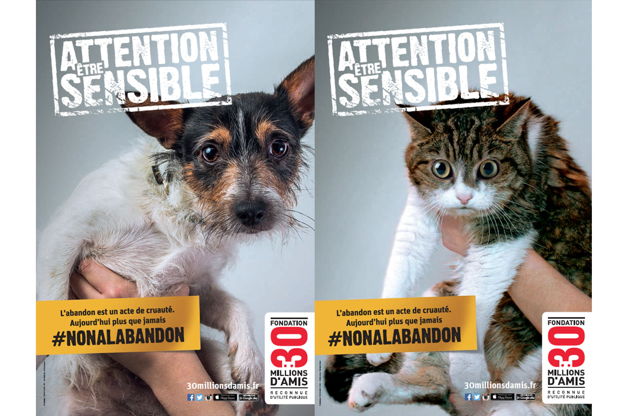 Résultat de recherche d'images pour "abandon animaux"