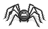 araignee-noire-marche.gif