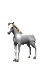 cheval3.gif