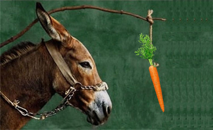 donkey-and-carrot.jpg