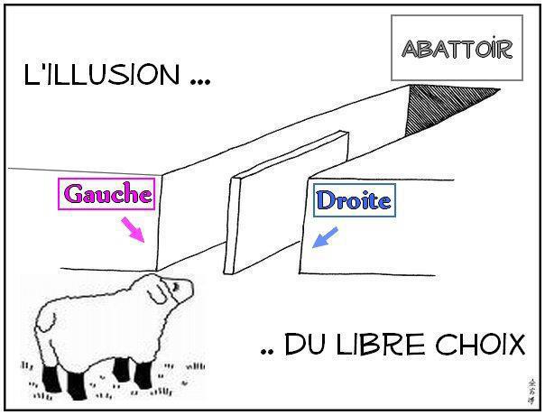 gauche_drote_mouton_abbatoir_election.jp