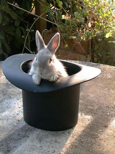 lapin-chapeau-01.jpg