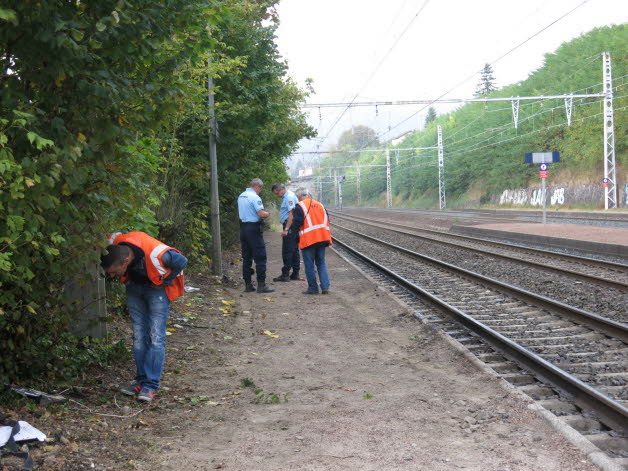 les-en10.jpg
