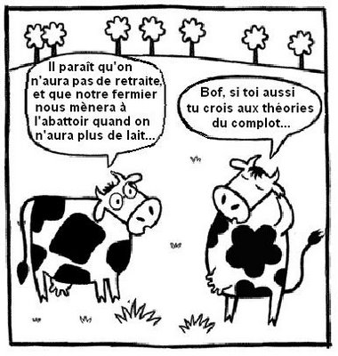 vaches-a-lait.jpg