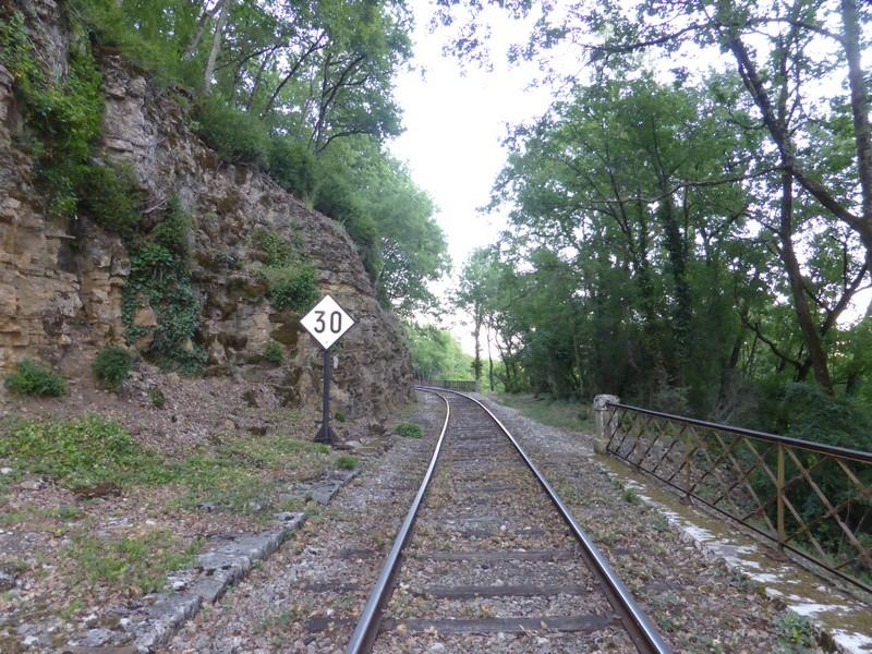 P1080103C.JPG