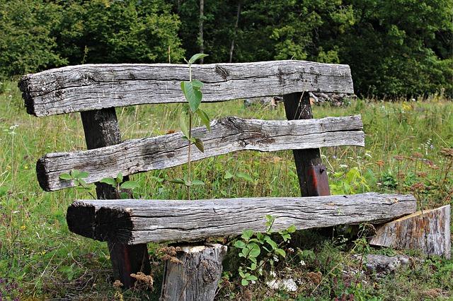 old-wood-bench-425645_640.thumb.jpg.6316