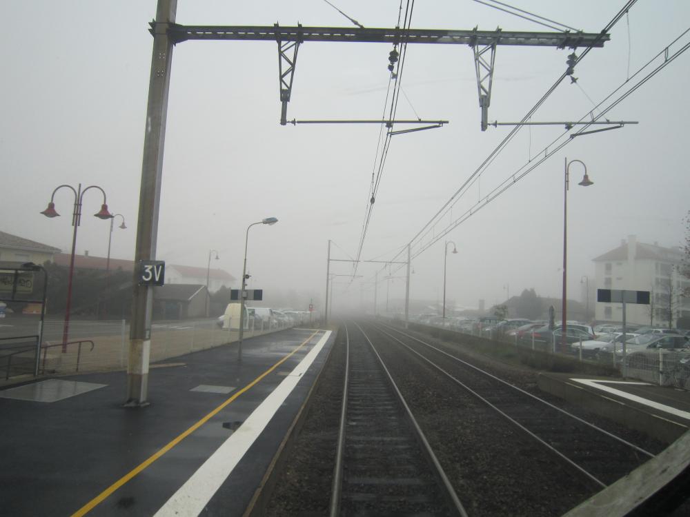 Brouillard.thumb.JPG.982659e69e27e7eb186