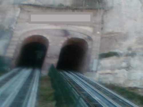 Photo0932.jpg.59c772316c59cfef64679cbb75