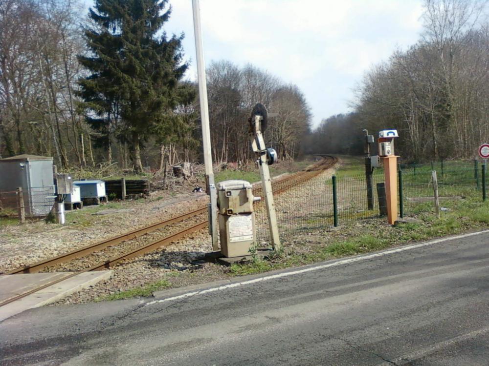 Photo0956.thumb.jpg.33585bd8261599b0e0b7