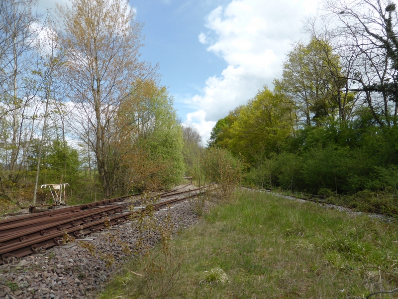 P1230344.JPG