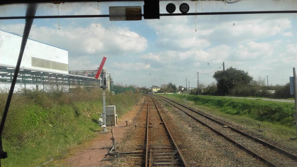 20160401_160153.jpg