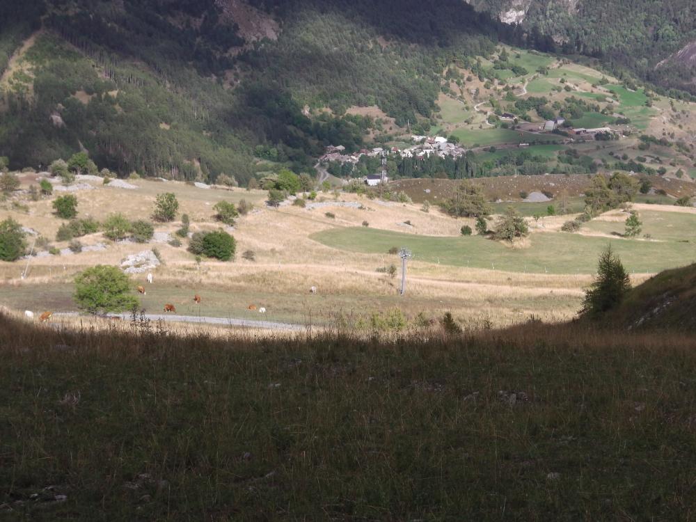 IMGA0505.JPG