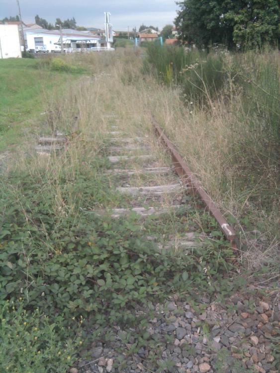 Photo0276.jpg