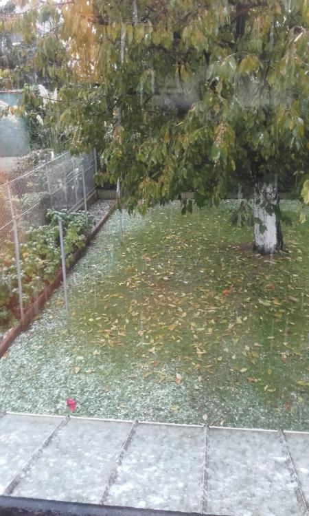 IMG-20161107-WA0000.jpg