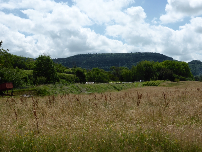 Mouchard (Jura) — Wikipédia