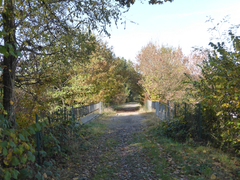 P1320715(1).JPG