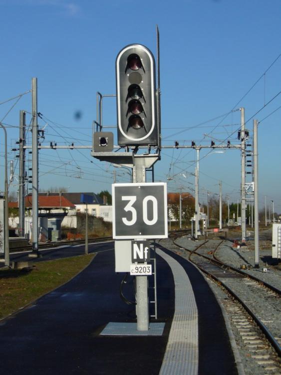 C 9203.jpg