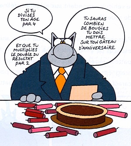 Anniversaire_chat_5-1-.jpg