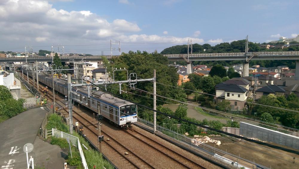 IMAG0362.jpg