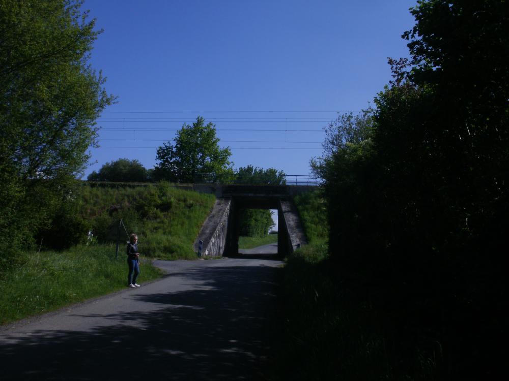 la ligne Le Mans - Laval un peu avant la jonction avec la ligne Mayenne - La Chapelle Anthenaise.JPG