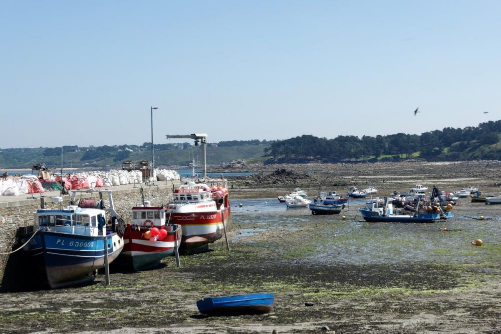 Bretagne - J1 - Loquémau - pointe de Séhar marée basse.jpg