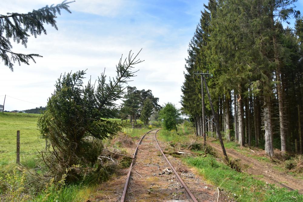 CHR_8403.JPG