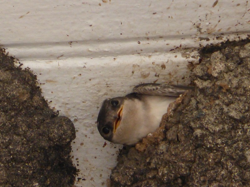 P1120465.JPG