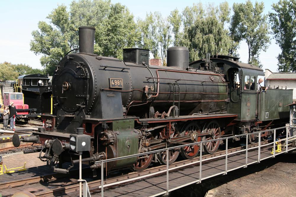 4981 av 12-09-2009.jpg