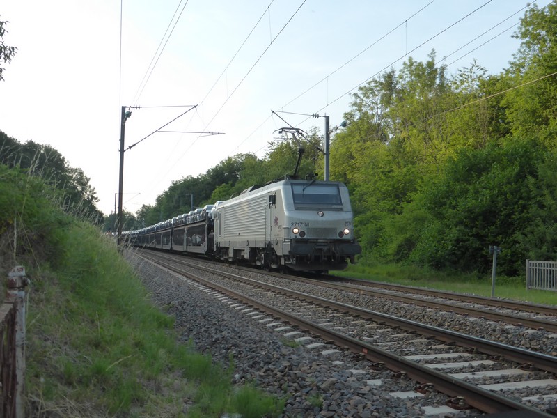 P1380904.JPG