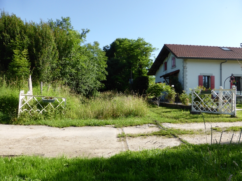 P1280171(1).JPG