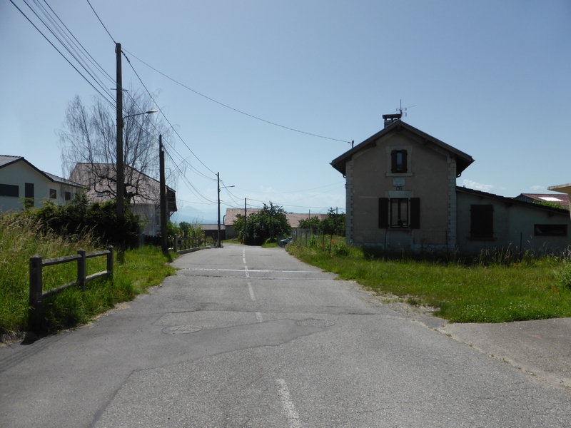 P1280252(1).JPG