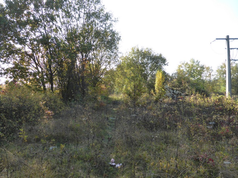 P1320615.JPG