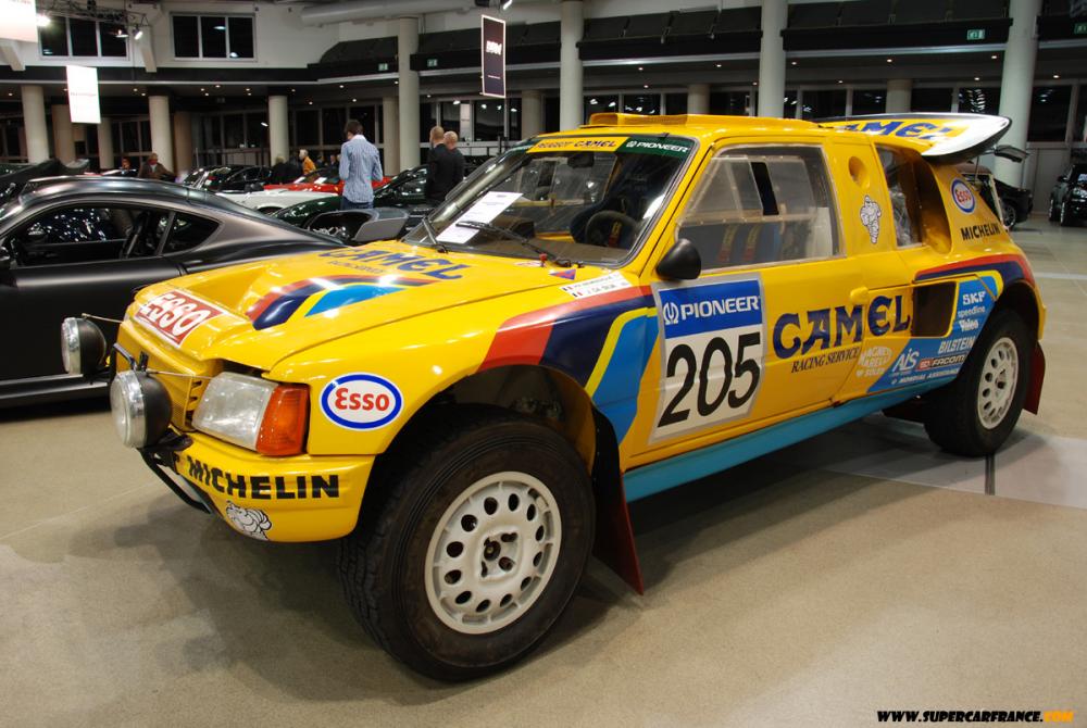 205 dakar.JPG