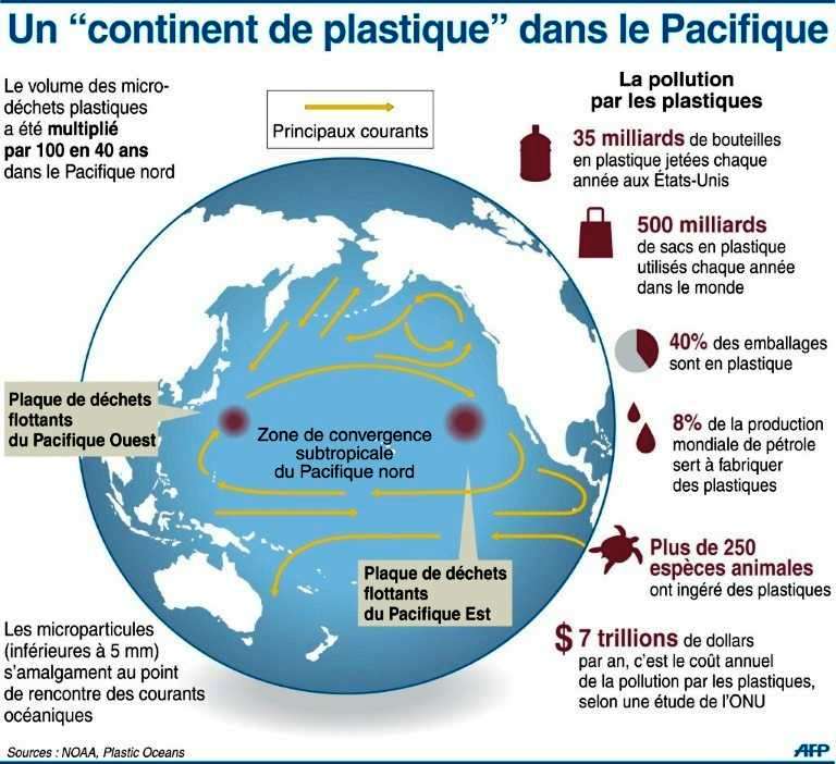 c8c78cc2da_122264_continent-plastique.jpg.273dd5fb77c022b7932773a6f1646843.jpg