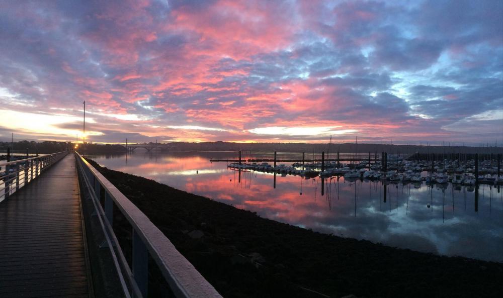 Brest port de plaisance du Moulin Blanc le 04122018 .jpg