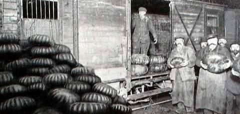 345373257_halles-arriveharpajonais.JPG.eaae66cc53690a3c8b7e38f8b0779acd.JPG