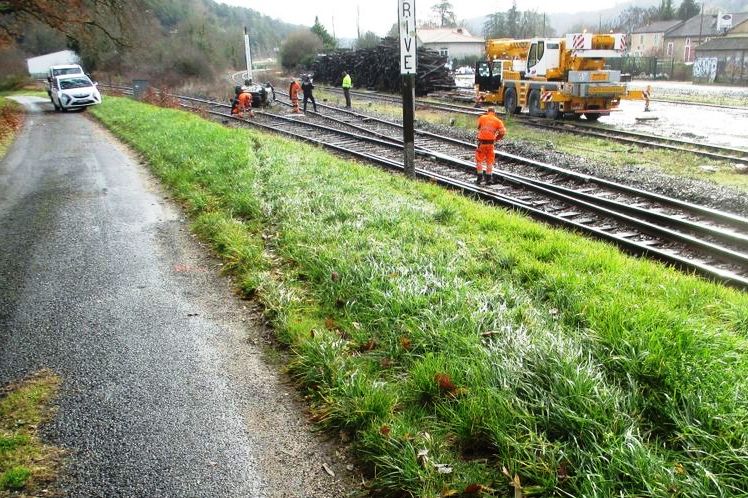 un-jeune-conducteur-de.jpg.e668a5fe931c4e5244b9d7a0149aeea0.jpg