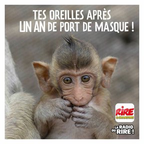 https___image-api_nrj.fr_medias_2021_04_image-drole-oreilles_6070516e94fd3.jpg.e105629be0f053d6b74cec06537df465.jpg